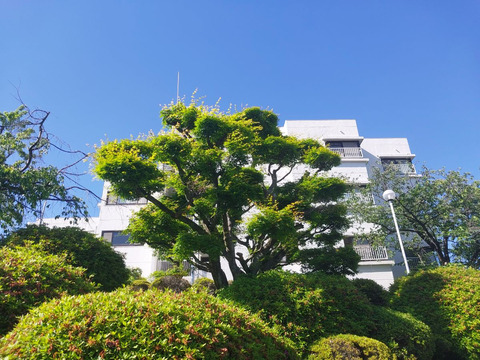 メゾン越木岩 C棟-h