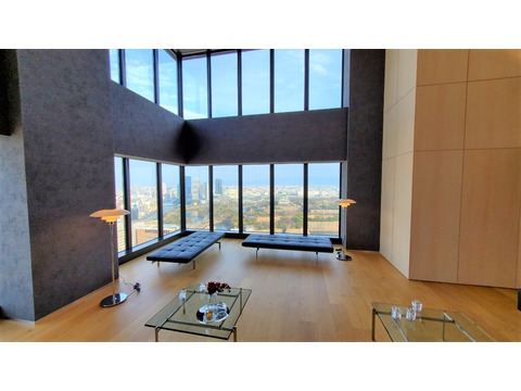 ザ・ファインタワー大手前-h