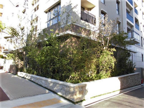 グランドメゾン御影郡家-h