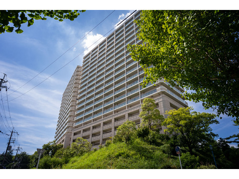 リバーガーデン千里中央　あかり絵のみち-h