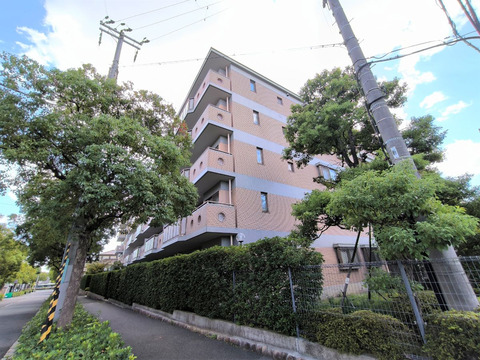 エスペランサ芦屋-h