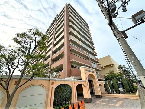 ルネ　アムパセオ-0-0