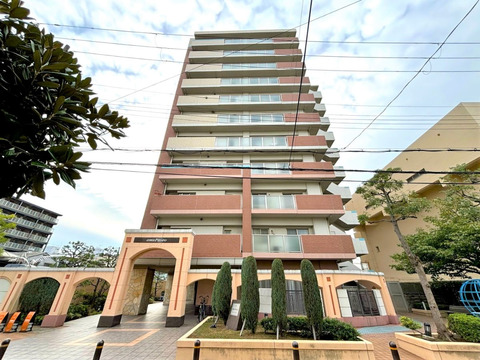 ルネ　アムパセオ-h