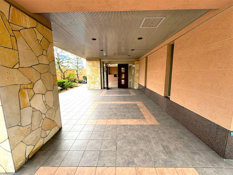 ルネ　アムパセオ-h