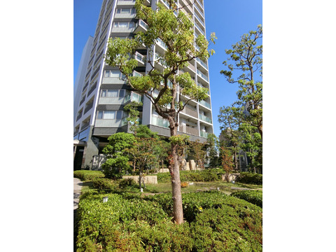 清水谷ハウス-h