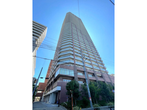 阿波座ライズタワーズフラッグ46 OMPタワー-h