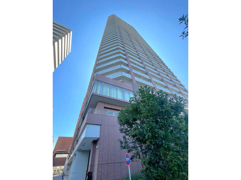 阿波座ライズタワーズフラッグ46 OMPタワー-h