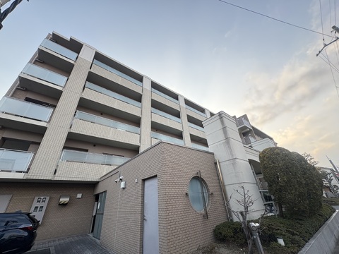 ステイツ甲子園グランプレイス-0-0