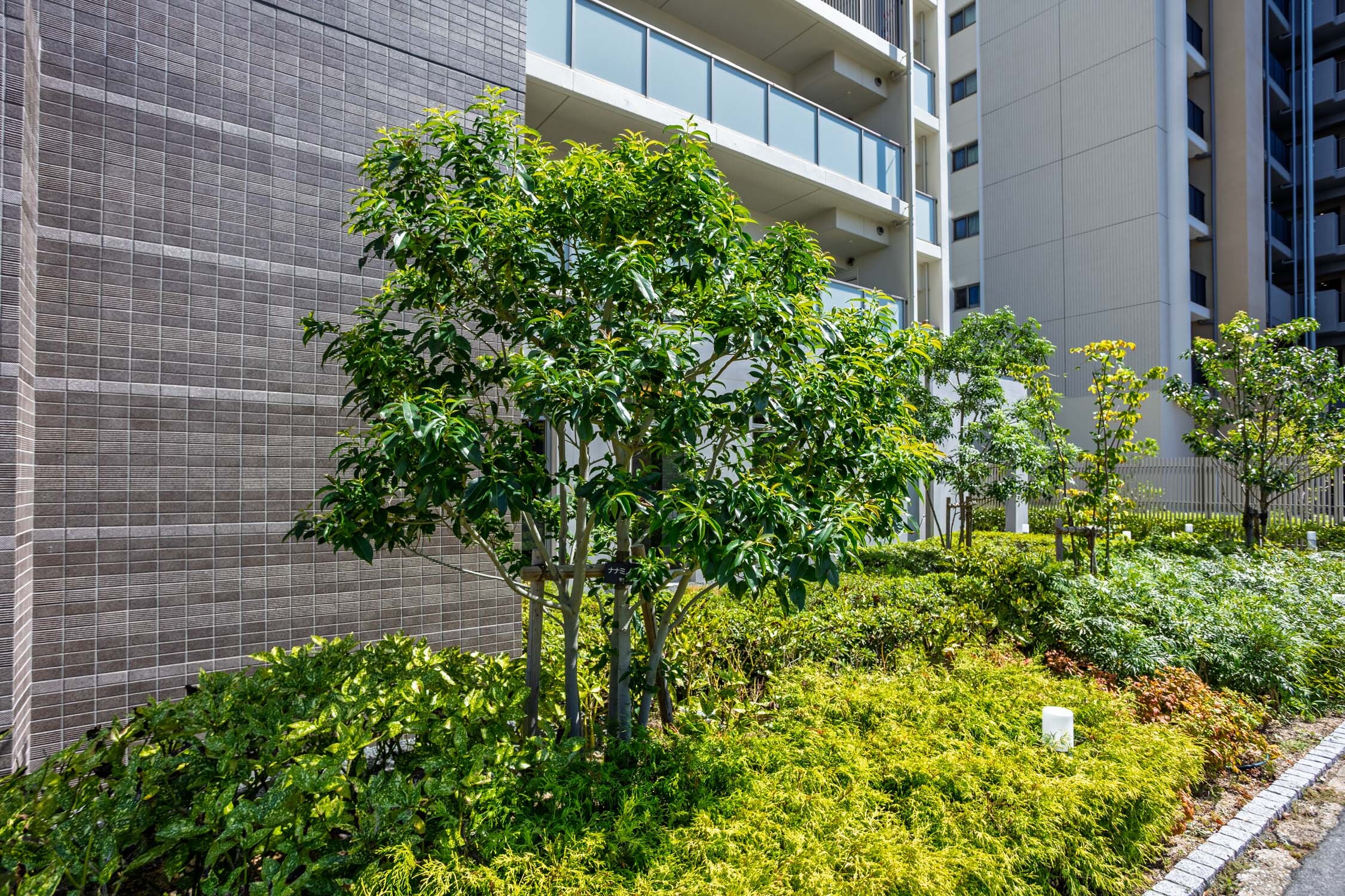 ユニハイム枚方牧野-h