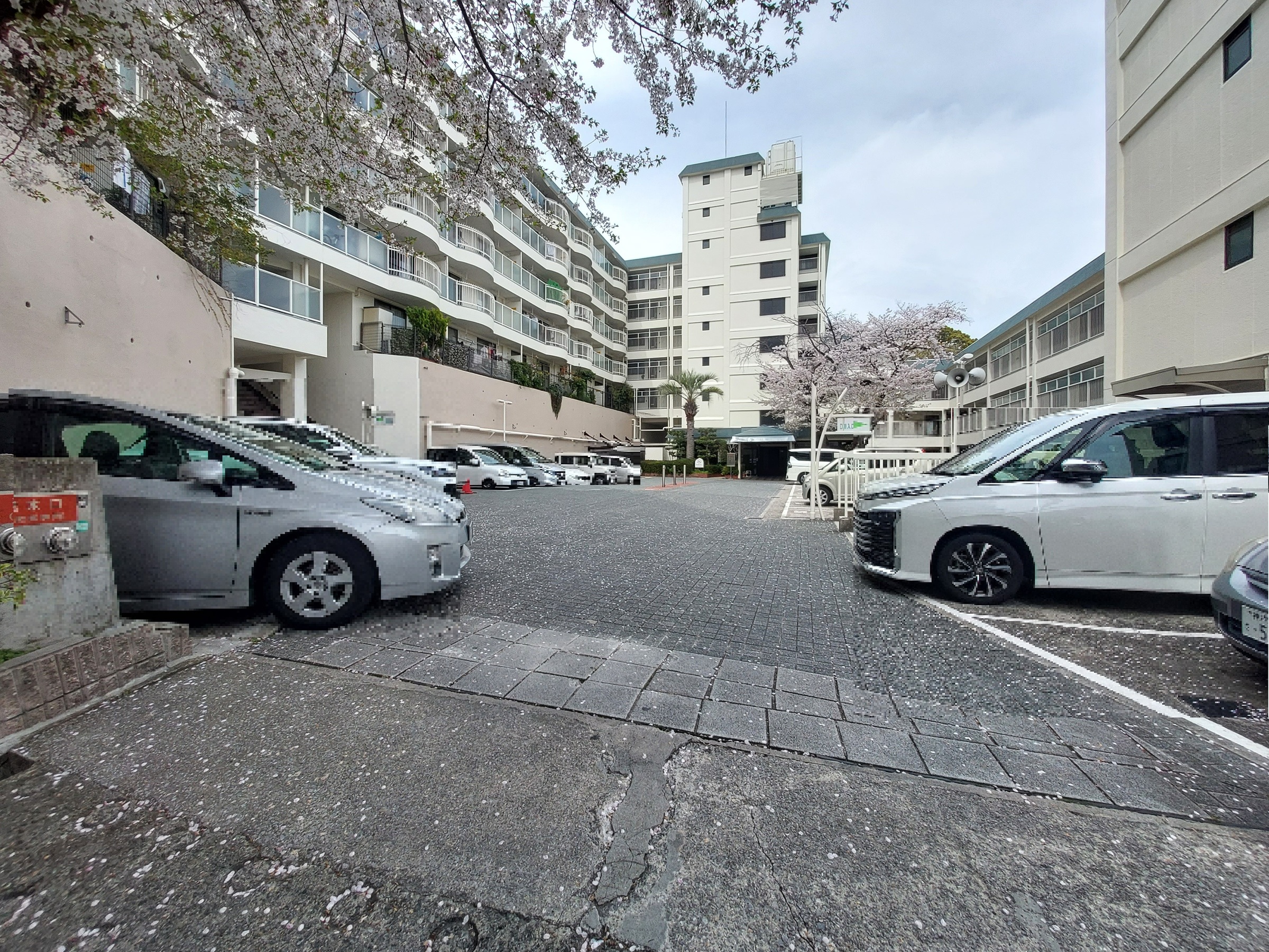 コボリマンション夙川老松台-h