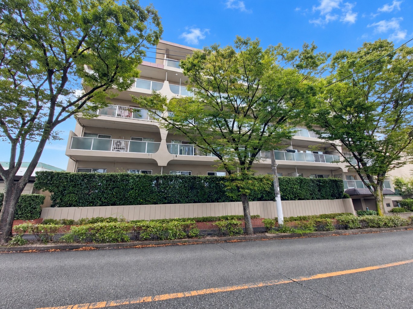 芦屋打出レックスマンション
