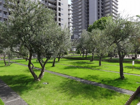 オルトヨコハマ・ビューポリス-h