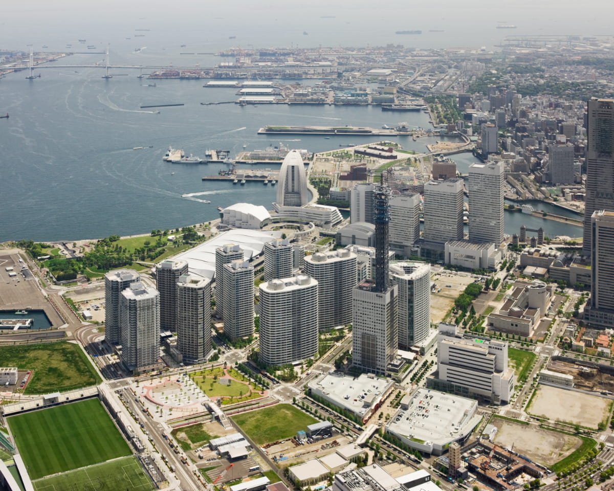 M.M.TOWERS FORESIS-h