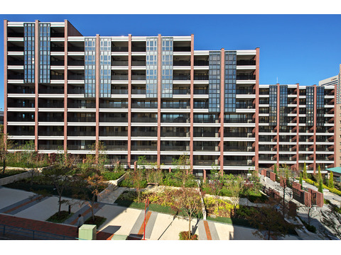 横濱紅葉坂レジデンス壱番館-h