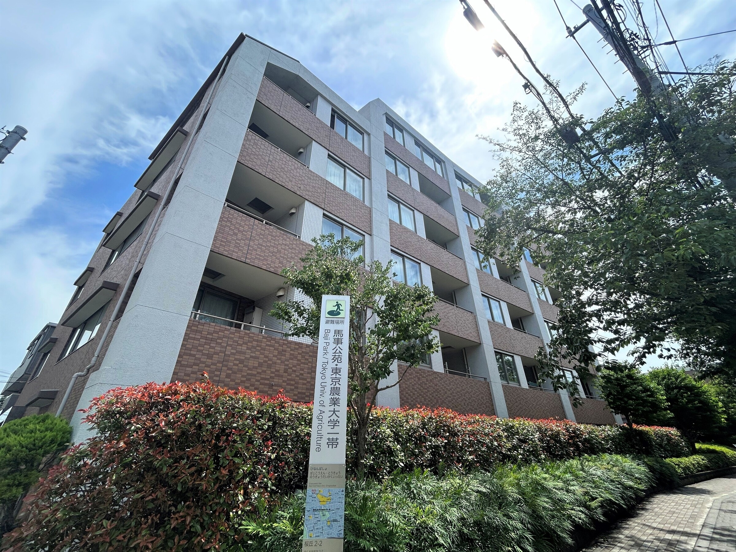 パークハウス世田谷桜丘-h