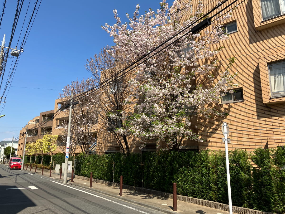 マスターズガーデン世田谷桜-h