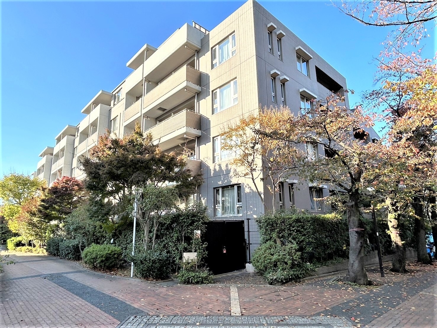 桜丘パークハウス-0-0