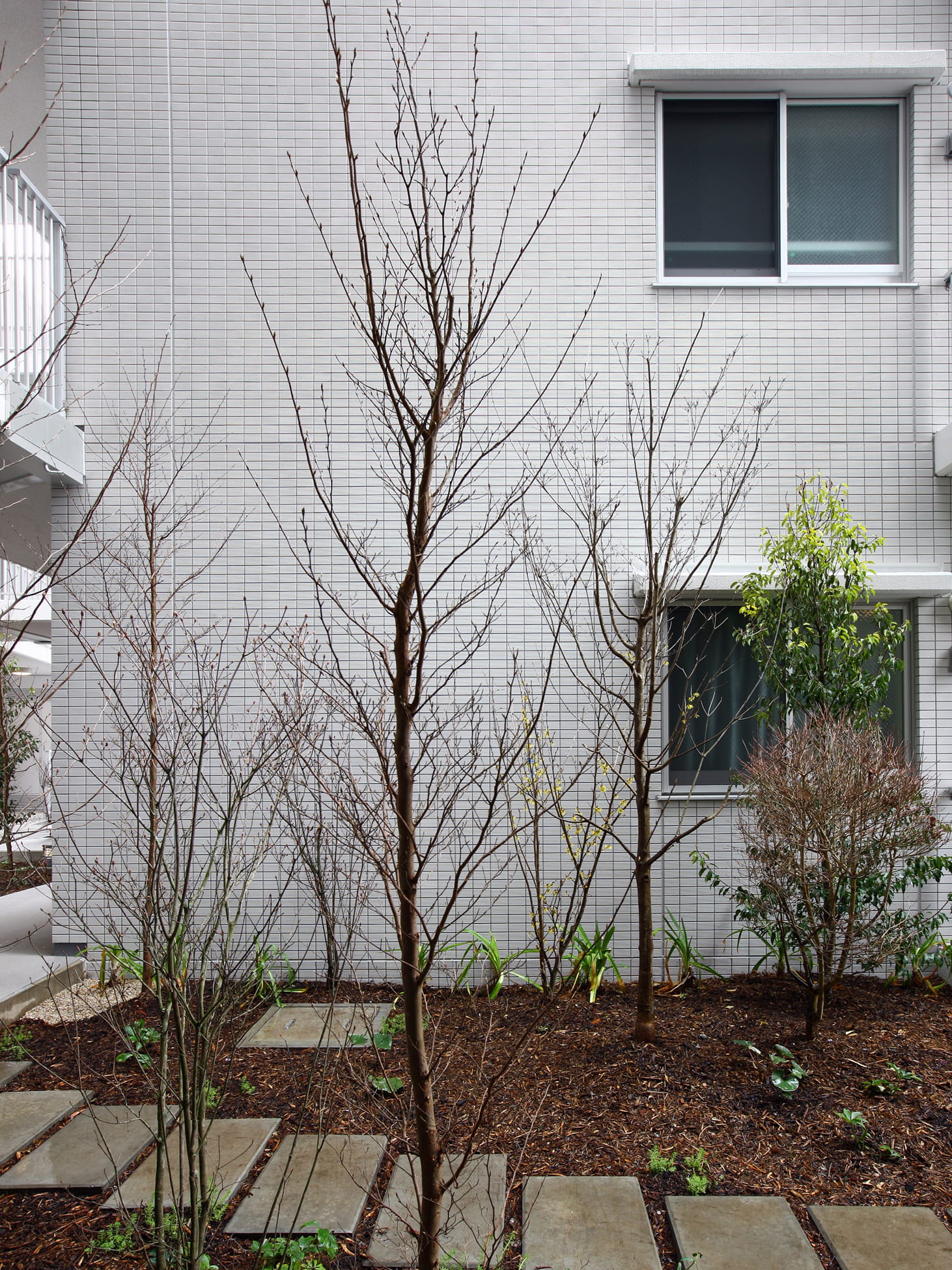 パークハウス調布国領-h