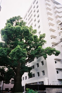 パークハウス楠郷臺-h