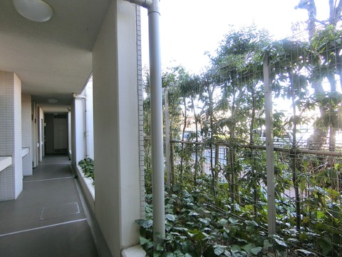 パークハウス平和台-h