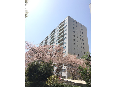 ニューシティ東戸塚パークヒルズ-h