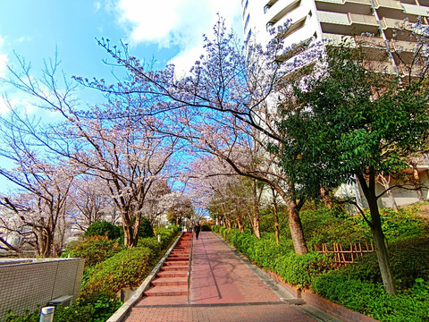 ニューシティ東戸塚パークヒルズ-h