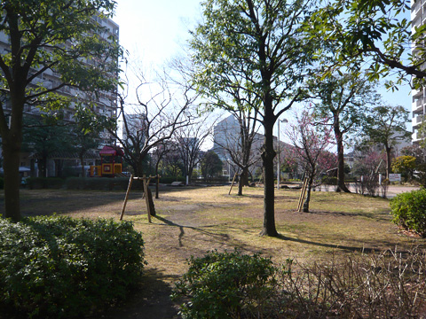 ニューシティ東戸塚パークヒルズJ棟-h