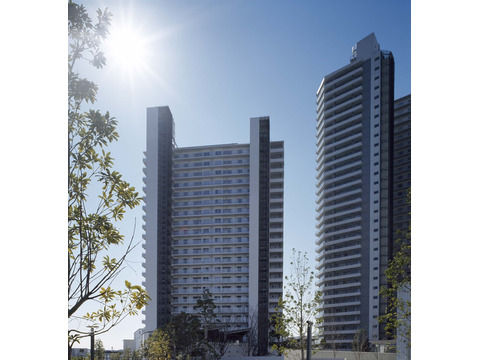 コットンハーバータワーズベイイースト-h