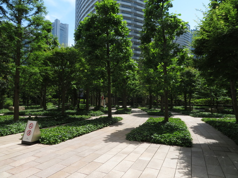 M.M.TOWERS　the　East-h