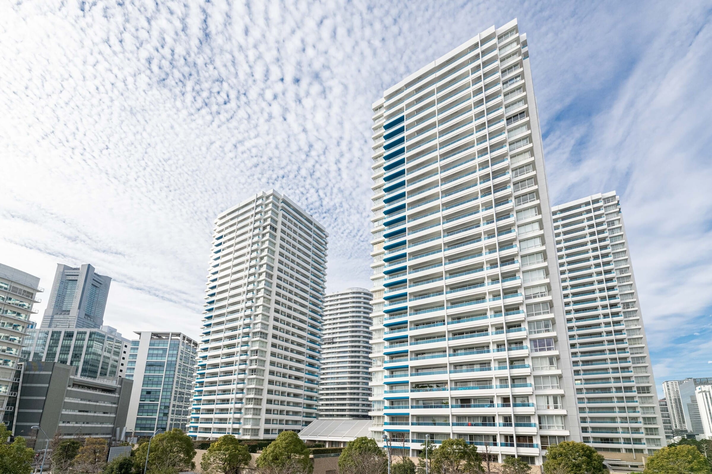 M.M.TOWERS　the　South-h