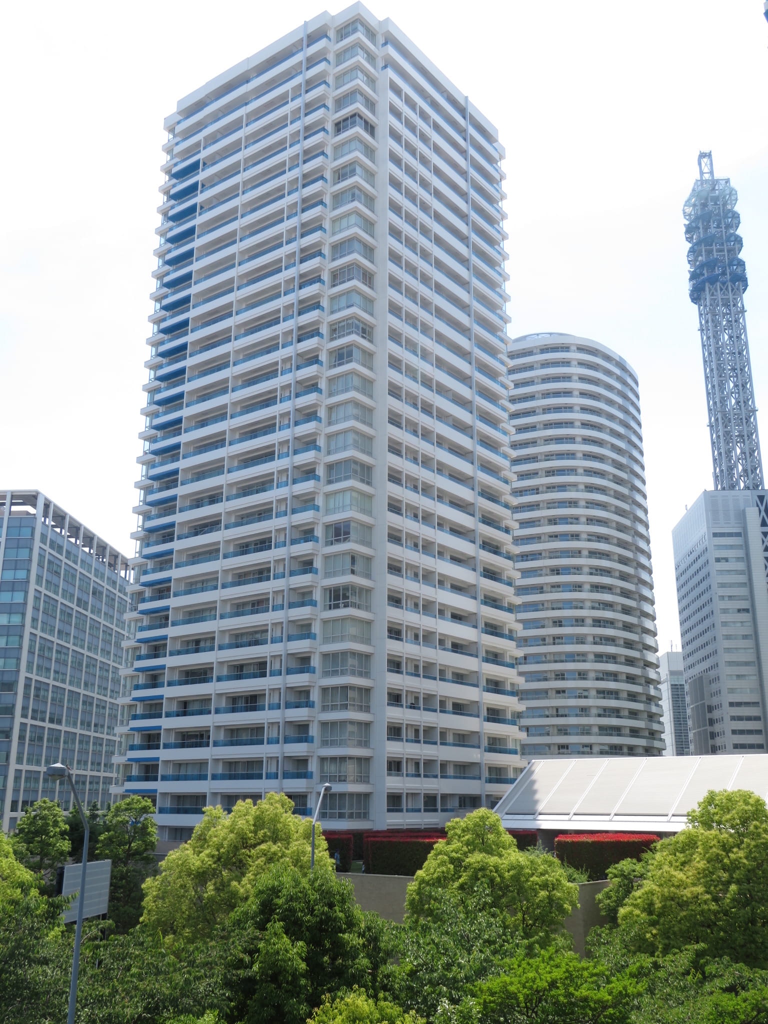 M.M.TOWERS　the　South-h