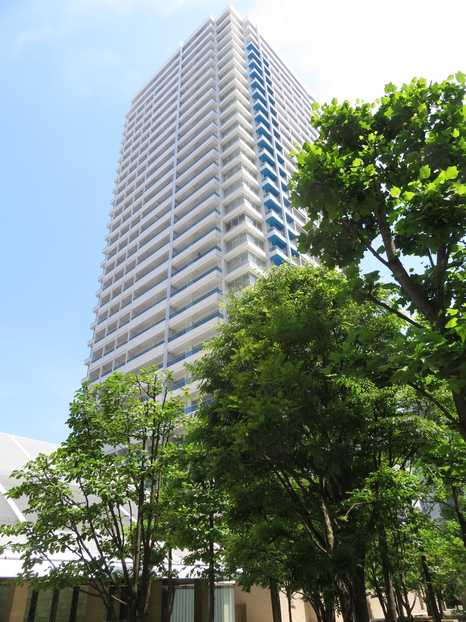 M.M.TOWERS　the　South-h