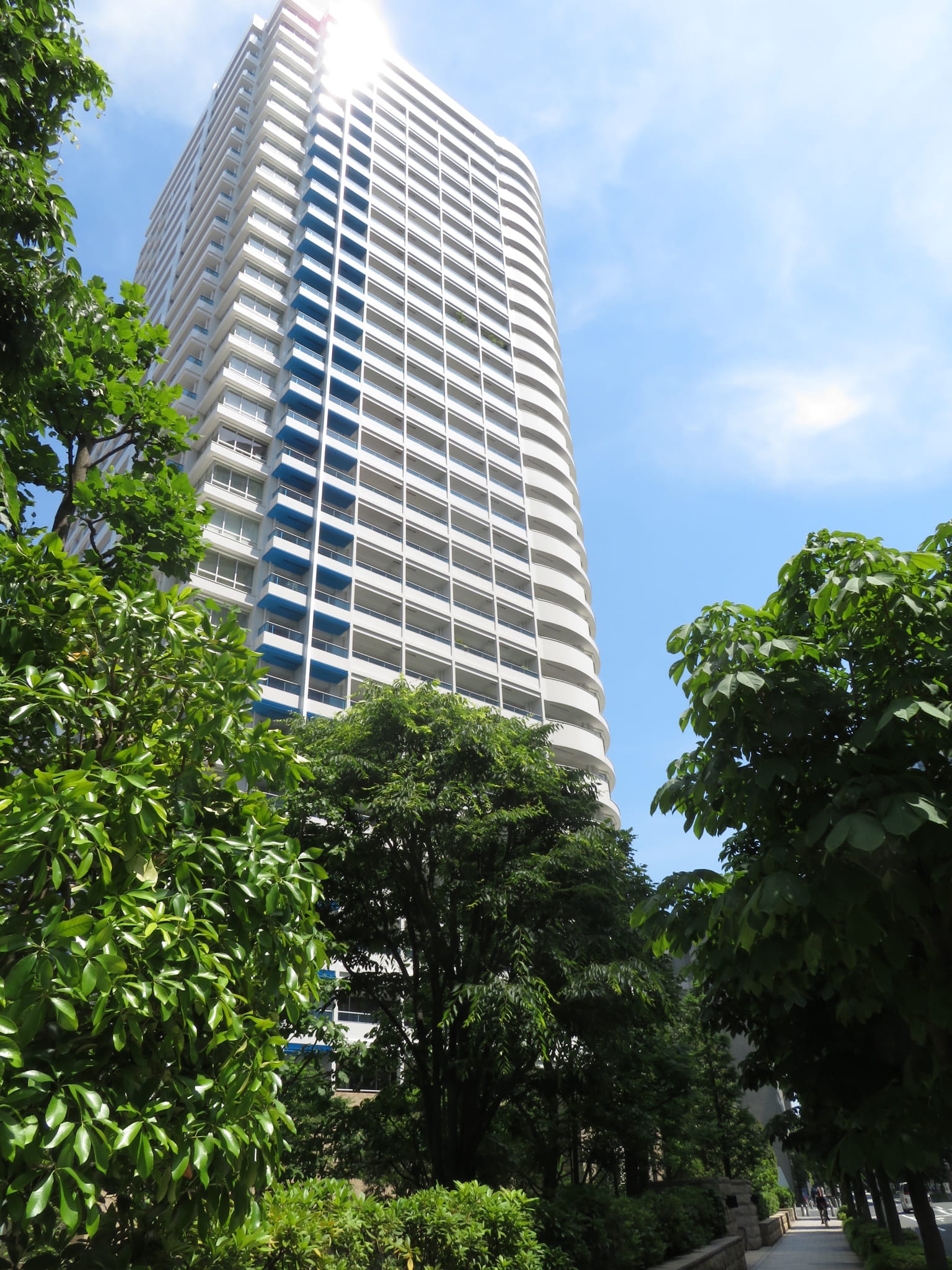 M.M.TOWERS　the　South-h