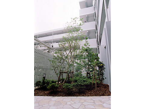 パークハウス武蔵新城ソレイユテラス-h