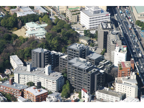 南青山テラス　常盤松フォレスト-h