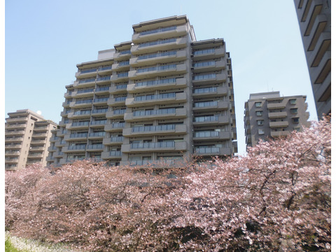 パークハウス多摩川南弐番館-h