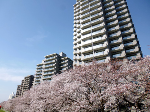 パークハウス多摩川南参番館-h