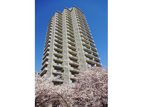 パークハウス多摩川南参番館-h