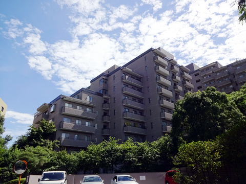 パークハウス多摩川北壱番館-h