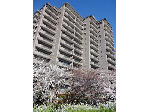 パークハウス多摩川北参番館-h