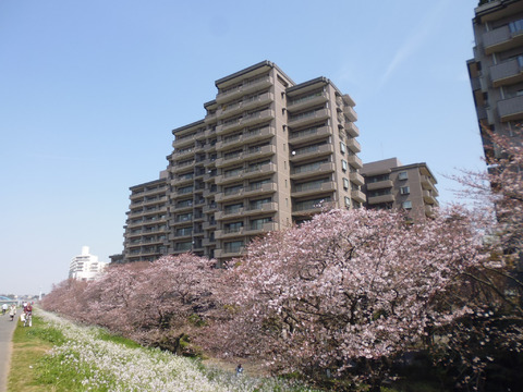 パークハウス多摩川北参番館-h