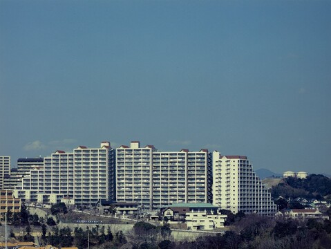 ジェームス山ヒルズ-h