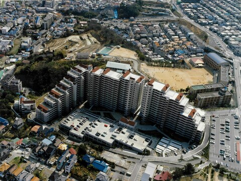 ジェームス山ヒルズ-h