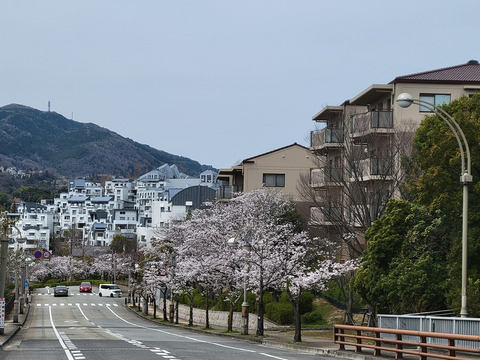 西宮名塩パークハウス34号棟-h