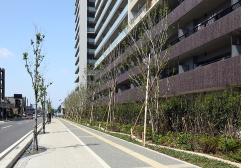 ザ・パークハウス津田沼奏の杜カームレジデンス-h