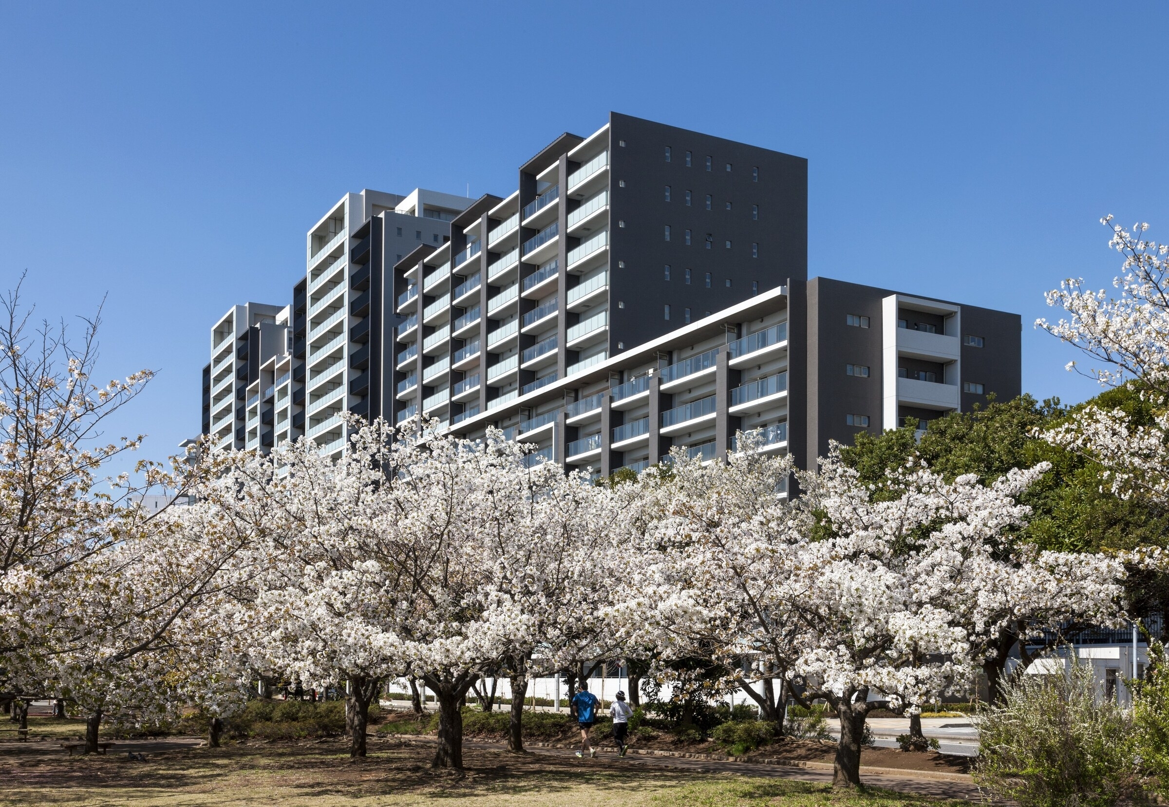 幕張ベイタウン　グリーナ-h