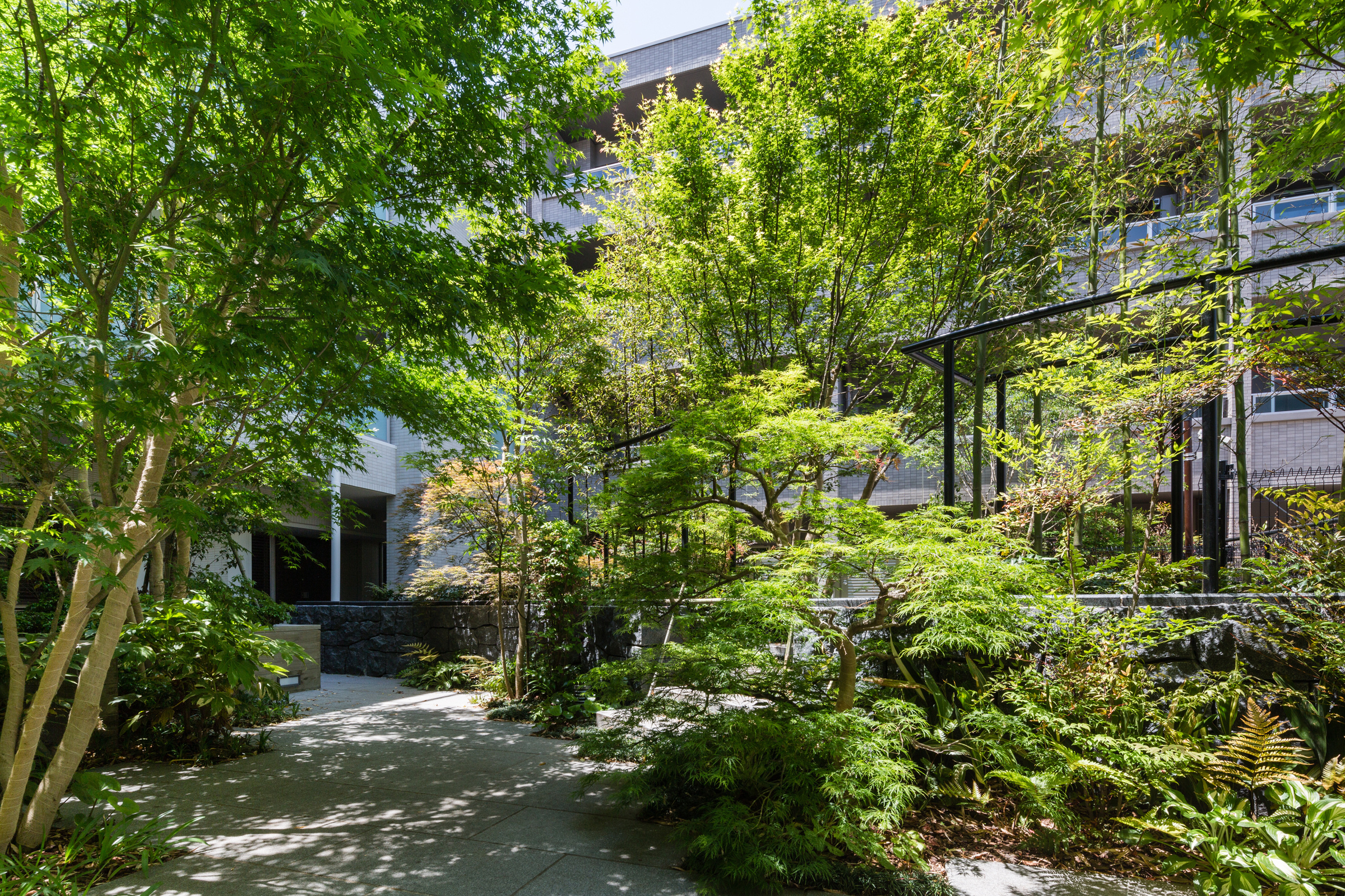 ザ・パークハウス学芸大学四季の杜-h