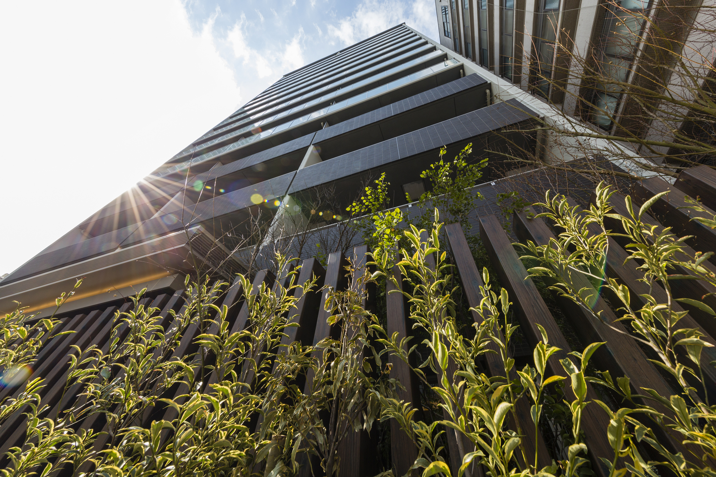 ザ・パークハウス上野池之端レジデンス-h