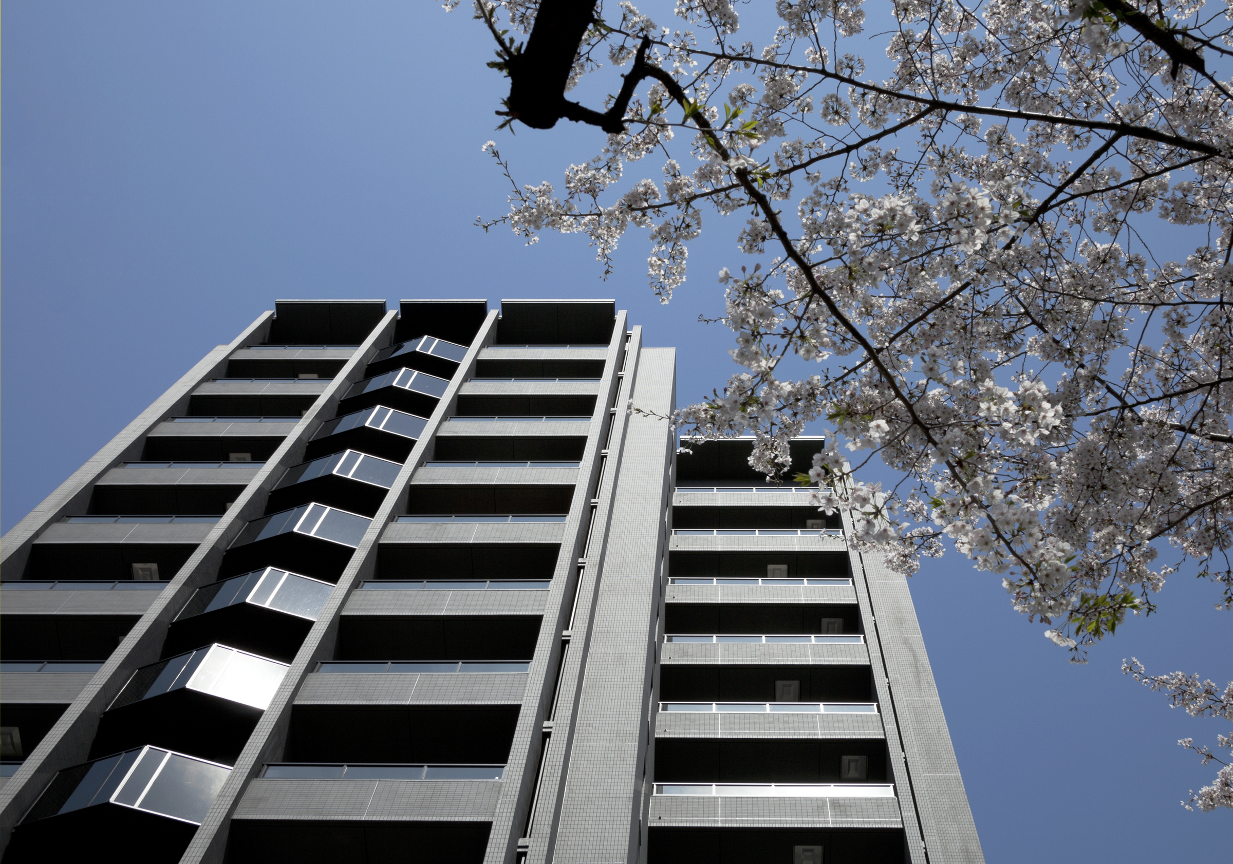 ザ・パークハウスアーバンス千代田御茶ノ水-h