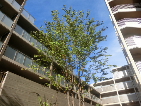 プレイスヴィラ喜多見-h